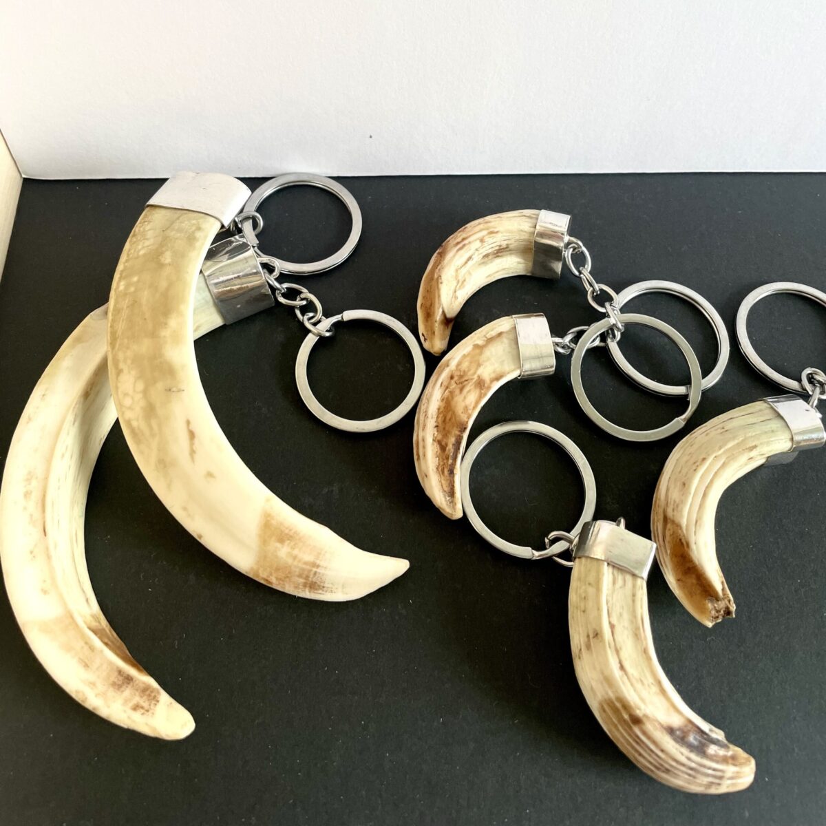 IMG 6514 scaled scaled