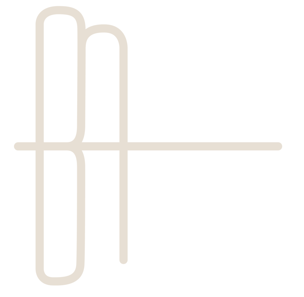Libelula 14